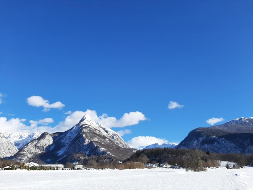 Apartma Pri Soci Appartement Bovec Buitenkant foto
