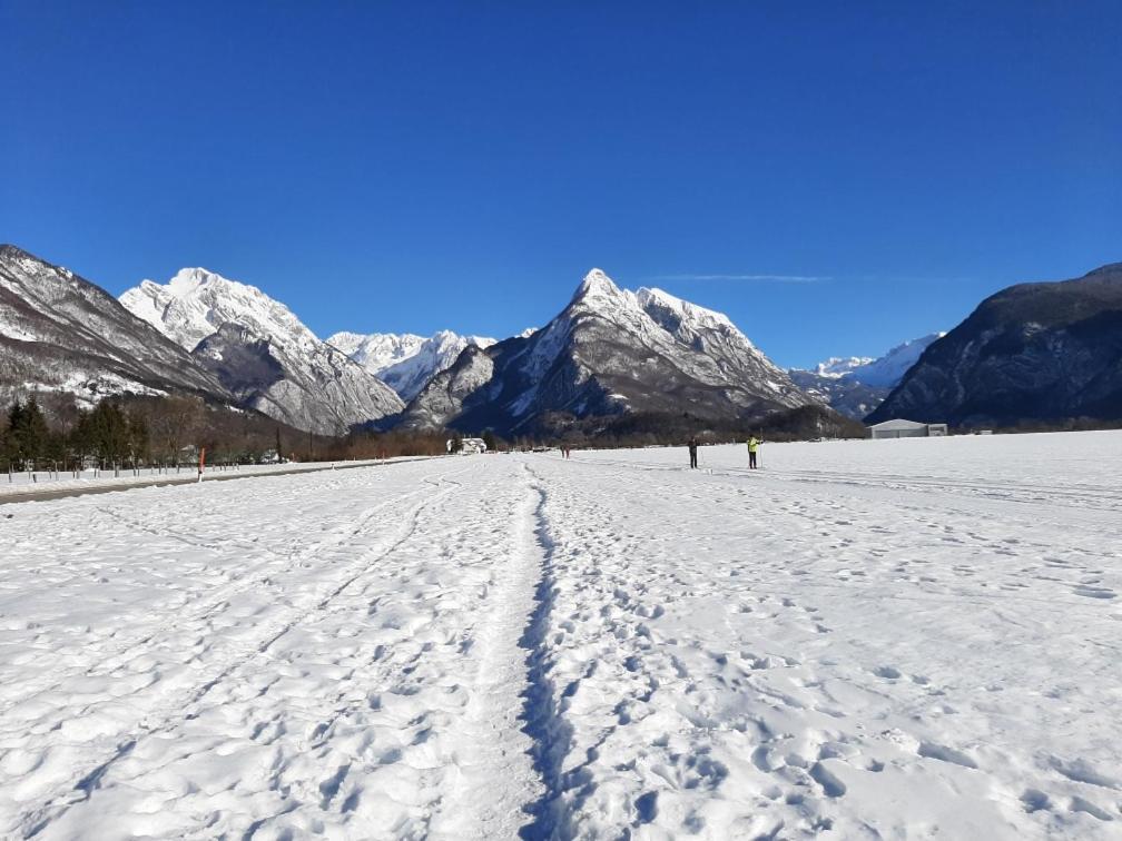 Apartma Pri Soci Appartement Bovec Buitenkant foto